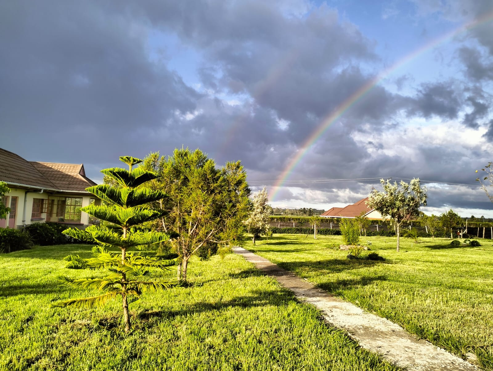 Garden Strolls at orangeblossomcottage